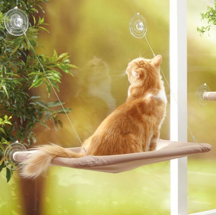 Cat Window Hammock Bed – Strong Suction Cup Sunny Seat for Indoor Cats